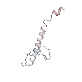 30157_7bqx_y_v1-2
Epstein-Barr virus, C5 portal vertex