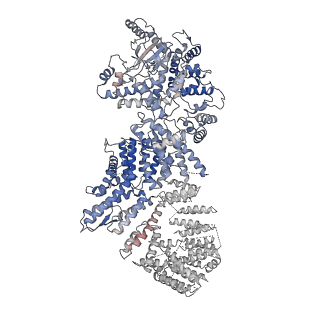 7129_6bq1_E_v1-4
Human PI4KIIIa lipid kinase complex