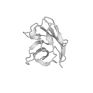 7130_6bqn_E_v1-2
Cryo-EM structure of ENaC