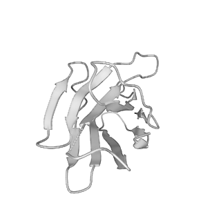 7130_6bqn_F_v1-2
Cryo-EM structure of ENaC