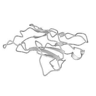 7130_6bqn_G_v1-2
Cryo-EM structure of ENaC