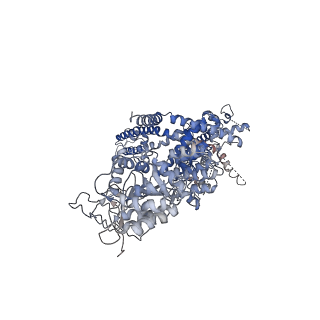 7132_6bqr_B_v1-4
Human TRPM4 ion channel in lipid nanodiscs in a calcium-free state
