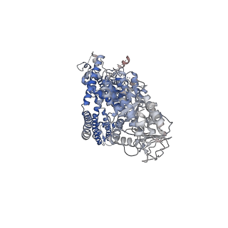 7133_6bqv_A_v1-4
Human TRPM4 ion channel in lipid nanodiscs in a calcium-bound state