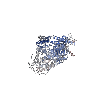 7133_6bqv_B_v1-4
Human TRPM4 ion channel in lipid nanodiscs in a calcium-bound state