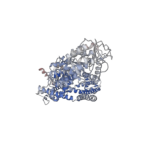 7133_6bqv_C_v1-4
Human TRPM4 ion channel in lipid nanodiscs in a calcium-bound state