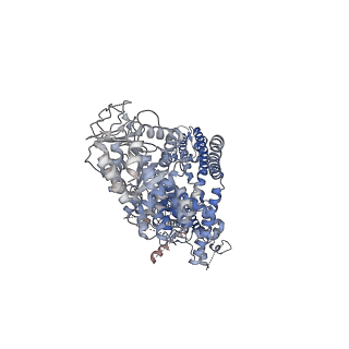 7133_6bqv_D_v1-4
Human TRPM4 ion channel in lipid nanodiscs in a calcium-bound state