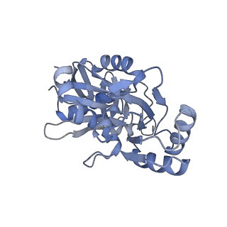 7134_6bqw_A_v1-3
AlfA Filament bound to AMPPNP