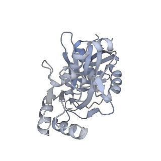 7134_6bqw_B_v1-3
AlfA Filament bound to AMPPNP