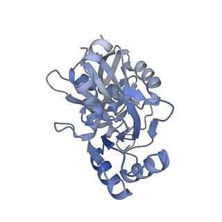 7134_6bqw_D_v1-3
AlfA Filament bound to AMPPNP