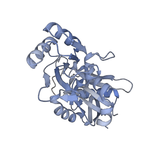 7134_6bqw_E_v1-3
AlfA Filament bound to AMPPNP