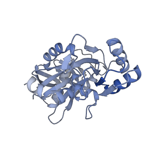 7134_6bqw_G_v1-3
AlfA Filament bound to AMPPNP