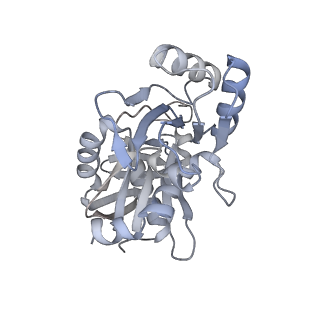 7134_6bqw_I_v1-3
AlfA Filament bound to AMPPNP