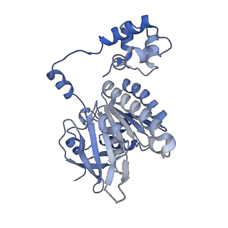 16197_8br2_A_v1-1
CryoEM structure of the post-synaptic RAD51 nucleoprotein filament in the presence of ATP and Ca2+