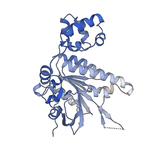 16197_8br2_B_v1-1
CryoEM structure of the post-synaptic RAD51 nucleoprotein filament in the presence of ATP and Ca2+