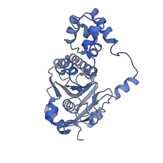 16197_8br2_D_v1-1
CryoEM structure of the post-synaptic RAD51 nucleoprotein filament in the presence of ATP and Ca2+