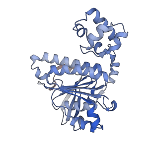 16197_8br2_E_v1-1
CryoEM structure of the post-synaptic RAD51 nucleoprotein filament in the presence of ATP and Ca2+