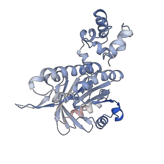 16197_8br2_F_v1-1
CryoEM structure of the post-synaptic RAD51 nucleoprotein filament in the presence of ATP and Ca2+