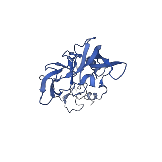 16211_8br8_LA_v1-2
Giardia ribosome in POST-T state (A1)