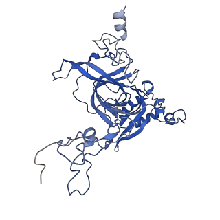 16211_8br8_LB_v1-2
Giardia ribosome in POST-T state (A1)