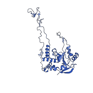 16211_8br8_LC_v1-2
Giardia ribosome in POST-T state (A1)
