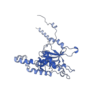 16211_8br8_LF_v1-2
Giardia ribosome in POST-T state (A1)