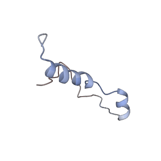 16211_8br8_LG_v1-2
Giardia ribosome in POST-T state (A1)