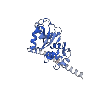16211_8br8_LH_v1-2
Giardia ribosome in POST-T state (A1)