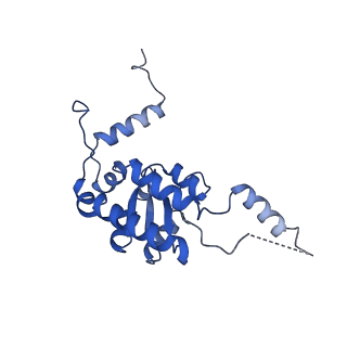 16211_8br8_LI_v1-2
Giardia ribosome in POST-T state (A1)