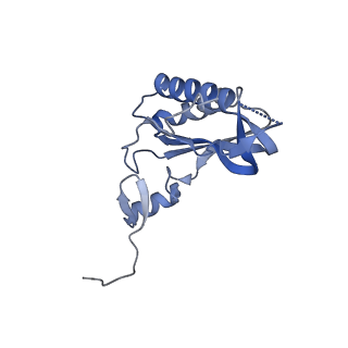 16211_8br8_LK_v1-2
Giardia ribosome in POST-T state (A1)