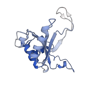 16211_8br8_LL_v1-2
Giardia ribosome in POST-T state (A1)