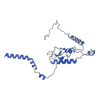 16211_8br8_LM_v1-2
Giardia ribosome in POST-T state (A1)