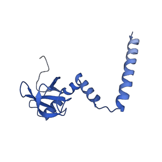 16211_8br8_LN_v1-2
Giardia ribosome in POST-T state (A1)