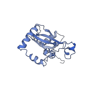 16211_8br8_LO_v1-2
Giardia ribosome in POST-T state (A1)