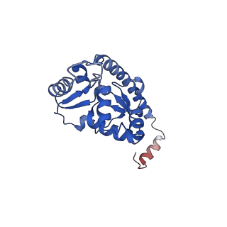 16211_8br8_LP_v1-2
Giardia ribosome in POST-T state (A1)