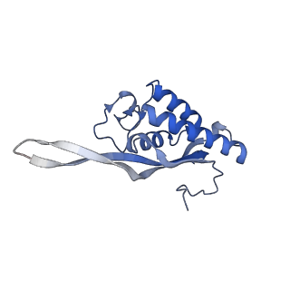 16211_8br8_LQ_v1-2
Giardia ribosome in POST-T state (A1)