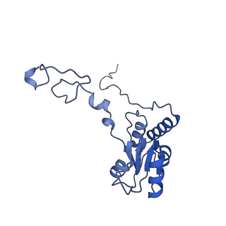 16211_8br8_LR_v1-2
Giardia ribosome in POST-T state (A1)