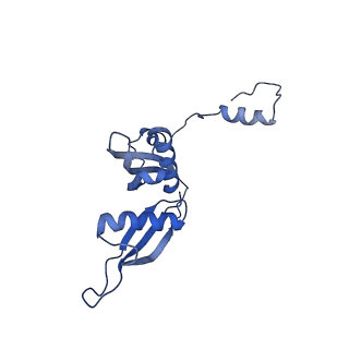 16211_8br8_LT_v1-2
Giardia ribosome in POST-T state (A1)