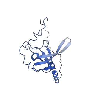 16211_8br8_LU_v1-2
Giardia ribosome in POST-T state (A1)