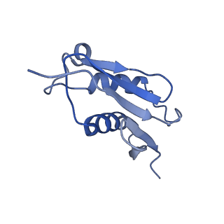 16211_8br8_LV_v1-2
Giardia ribosome in POST-T state (A1)