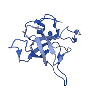 16211_8br8_LW_v1-2
Giardia ribosome in POST-T state (A1)