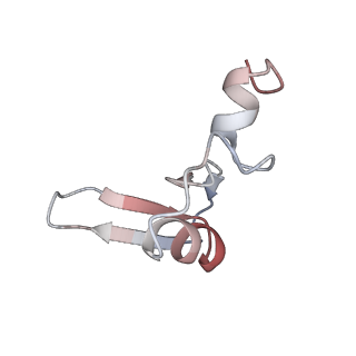 16211_8br8_LX_v1-2
Giardia ribosome in POST-T state (A1)