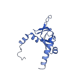 16211_8br8_LZ_v1-2
Giardia ribosome in POST-T state (A1)