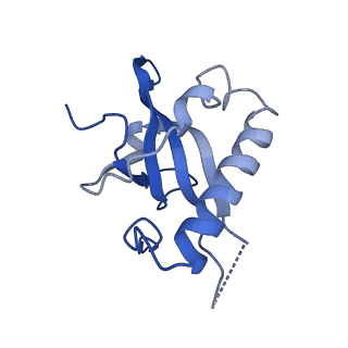 16211_8br8_La_v1-2
Giardia ribosome in POST-T state (A1)