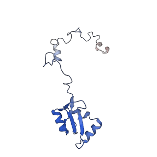 16211_8br8_Lb_v1-2
Giardia ribosome in POST-T state (A1)