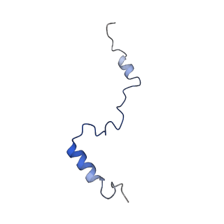 16211_8br8_Lc_v1-2
Giardia ribosome in POST-T state (A1)