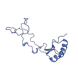 16211_8br8_Lf_v1-2
Giardia ribosome in POST-T state (A1)