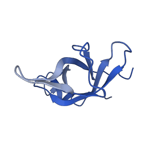 16211_8br8_Lg_v1-2
Giardia ribosome in POST-T state (A1)