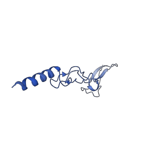 16211_8br8_Lh_v1-2
Giardia ribosome in POST-T state (A1)