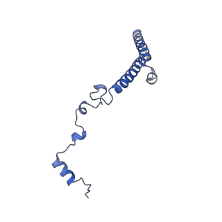 16211_8br8_Li_v1-2
Giardia ribosome in POST-T state (A1)