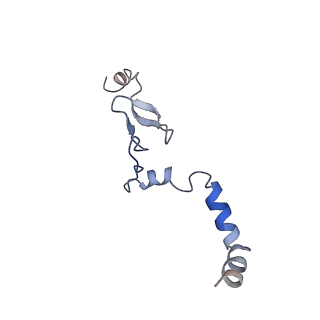 16211_8br8_Lk_v1-2
Giardia ribosome in POST-T state (A1)